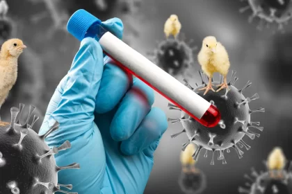 gripe-aviaria:-argentina-se-autodeclara-livre-da-doenca-a-omsa