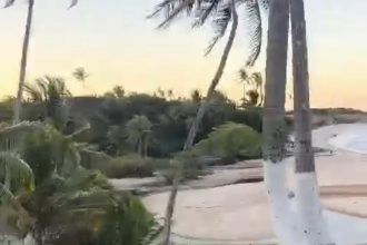 lideranca-indigena-pataxo-e-baleada-durante-conflito-em-area-rural-de-prado