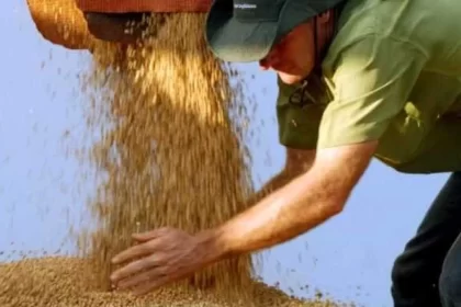 brasil-aumenta-exportacao-de-soja-para-a-china,-ocupando-lugar-dos-eua