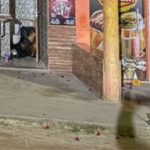 adolescente-de-16-anos-e-assassinado-com-varios-tiros-em-nova-caraiva