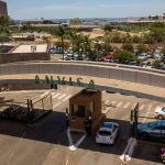 anvisa-proibe-venda-de-produtos-de-cannabis-e-cogumelos