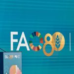 “antes-tarde-do-que-nunca”,-diz-lula-sobre-fim-do-conflito-em-gaza