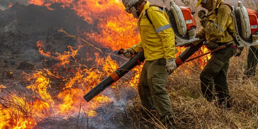 governo-repassa-r$-337-milhoes-para-combate-a-incendios-e-desmatamento
