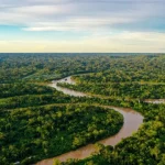 hrw-afirma-que-decisoes-judiciais-reforcam-direitos-de-indigenas