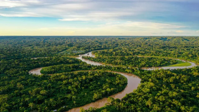 hrw-afirma-que-decisoes-judiciais-reforcam-direitos-de-indigenas