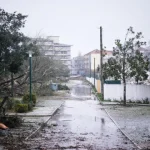 psd-faz-propostas-sobre-floresta-de-leiria,-ps-fala-em-desconhecimento