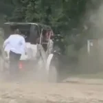 turista-morre-em-passeio-de-carruagem-depois-de-cavalo-perder-o-controlo