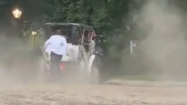 turista-morre-em-passeio-de-carruagem-depois-de-cavalo-perder-o-controlo