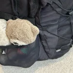 turista-britanica-procura-peluche-furtado-em-espanha.-“quase-42-anos”