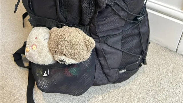 turista-britanica-procura-peluche-furtado-em-espanha.-“quase-42-anos”