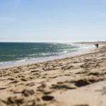 bloco-denuncia-alegada-tentativa-de-“privatizacao”-das-praias-de-setubal