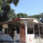 movimento-de-supostos-terroristas-gera-panico-em-cabo-delgado