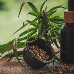 projeto-apoia-maes-e-criancas-atipicas-tratadas-a-base-de-cannabis