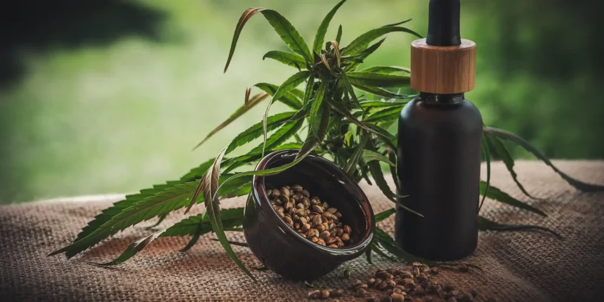 projeto-apoia-maes-e-criancas-atipicas-tratadas-a-base-de-cannabis