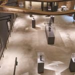 museu-nacional-lanca-exposicoes-ineditas-em-comemoracao-aos-208-anos