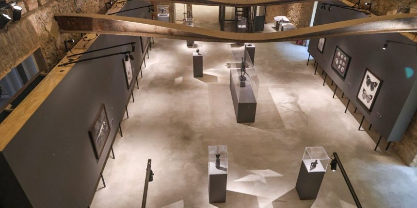 museu-nacional-lanca-exposicoes-ineditas-em-comemoracao-aos-208-anos