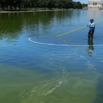 ex-atleta-olimpico-detido-por-vandalizar-lago-do-memorial-lincoln