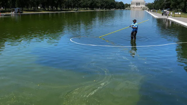 ex-atleta-olimpico-detido-por-vandalizar-lago-do-memorial-lincoln
