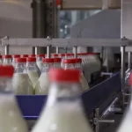produtores-de-leite-preocupados-com-falta-de-apoios-e-“guerra-de-precos”