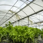 bruxelas-da-‘luz-verde’-a-30-milhoes-para-agricultores-portugueses