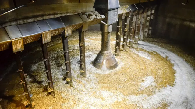 setor-cervejeiro-sustenta-mais-170-mil-empregos-e-representa-2,5%-do-pib