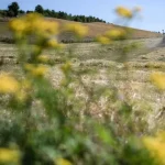 precos-dos-adubos-afetam-agricultores,-mas-bruxelas-afasta-escassez