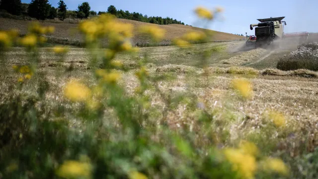 precos-dos-adubos-afetam-agricultores,-mas-bruxelas-afasta-escassez