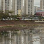 rio-tiete-nao-tem-trecho-livre-de-contaminacao,-diz-sos-mata-atlantica