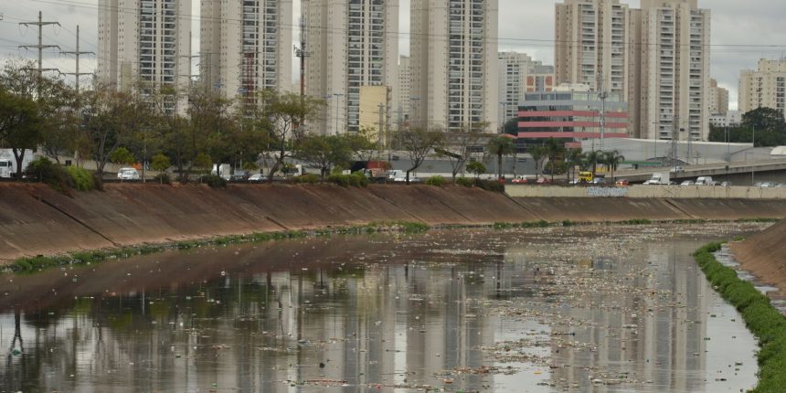 rio-tiete-nao-tem-trecho-livre-de-contaminacao,-diz-sos-mata-atlantica