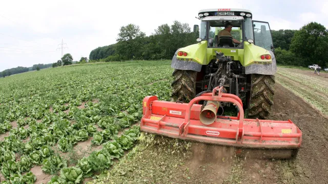 ocde-e-fao-estimam-queda-da-producao-agricola-este-ano-e-em-2027