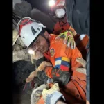 cadela-resgatada-de-escombros-5-dias-apos-sismos-na-venezuela.-as-imagens