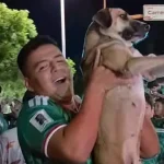 encontra-cadela-desaparecida-num-direto.-estava-em-festejos-do-mundial