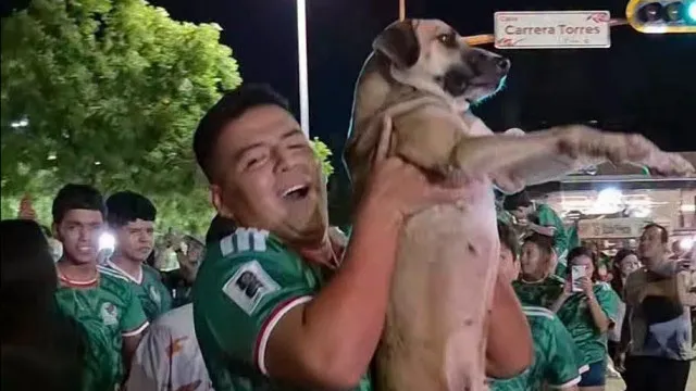 encontra-cadela-desaparecida-num-direto.-estava-em-festejos-do-mundial