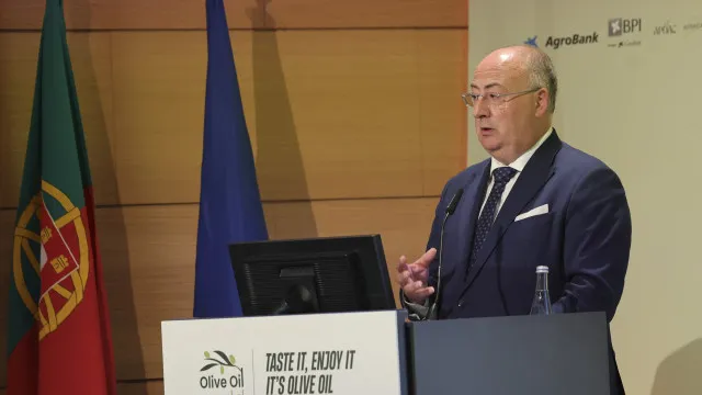 azeite-depende-de-inovacao-e-investimento:-agricultura-“tambem-e-defesa”