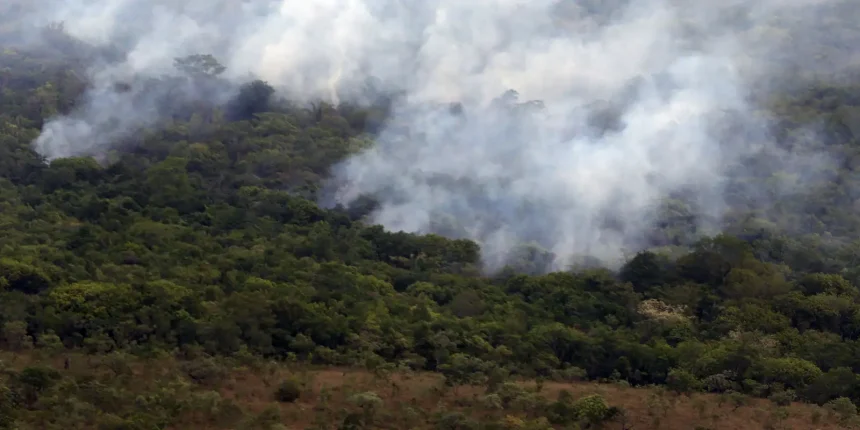 copernicus:-emissao-global-de-gases-por-incendios-e-a-menor-em-24-anos