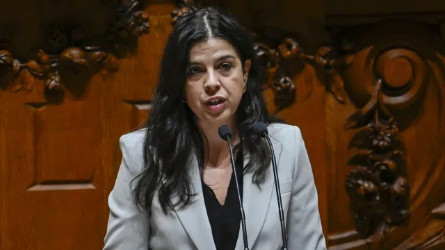 pan-pede-aplicacao-da-lei-tutelar-educativa-a-menor-filmado-a-afogar-cao