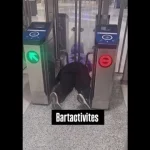 tenta-entrar-no-metro-de-sao-francisco-sem-pagar-e-acaba-presa-em-cancela