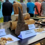 associacao-de-cacadores-de-angola-alerta-para-gravidade-da-caca-furtiva
