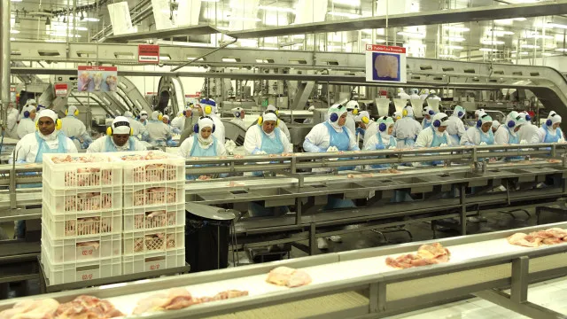 industria-da-carne-no-brasil-da-ferias-apos-se-esgotar-quota-chinesa