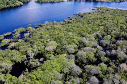 alertas-de-desmatamento-na-amazonia-caem-35%-em-junho-de-2026