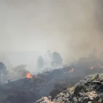 presidente-do-pp-alerta-para-semanas-“exigentes”-no-combate-aos-fogos