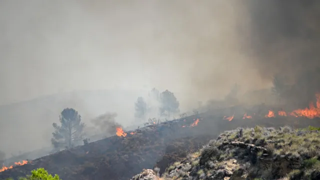 presidente-do-pp-alerta-para-semanas-“exigentes”-no-combate-aos-fogos
