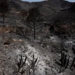 incendios-em-franca-obrigam-a-retirada-de-mil-pessoas