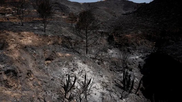 incendios-em-franca-obrigam-a-retirada-de-mil-pessoas