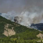 franca-detem-seis-suspeitos-por-incendios-em-fontainebleau