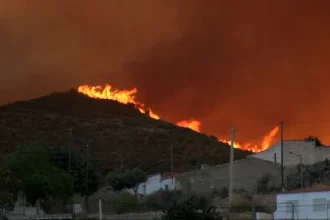 espanha:-12-estrangeiros-entre-13-vitimas-mortais-do-fogo-na-andaluzia