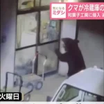 urso-invade-casas-e-serve-se-de-comida-no-japao.-autoridades-procuram-no