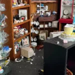veado-invade-loja-de-antiguidades-nos-eua:-as-imagens…-dos-estragos