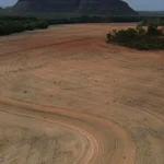 fim-da-moratoria-da-soja-pode-ampliar-destruicao-da-amazonia