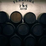 douro-aumenta-producao-de-vinho-do-porto-para-as-76-mil-pipas